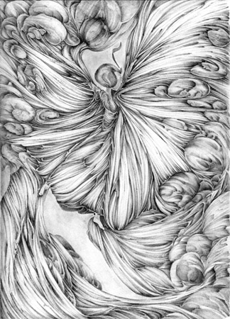 Wind by Meri C Fox-Szauter